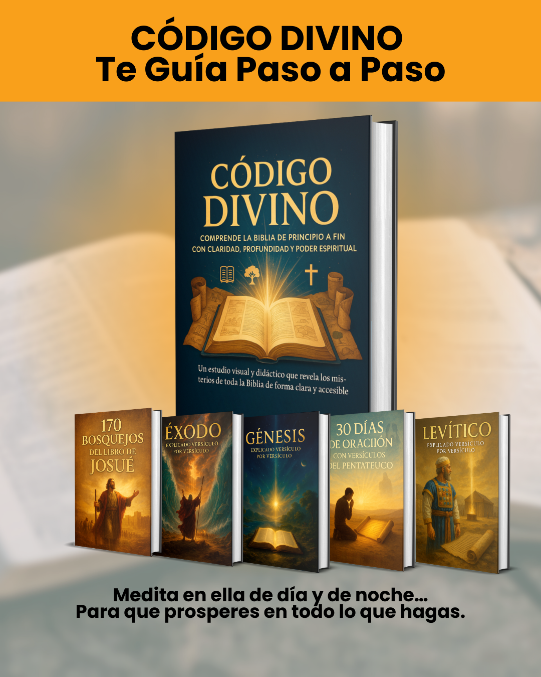 Bosquejo Visual Muestra 7